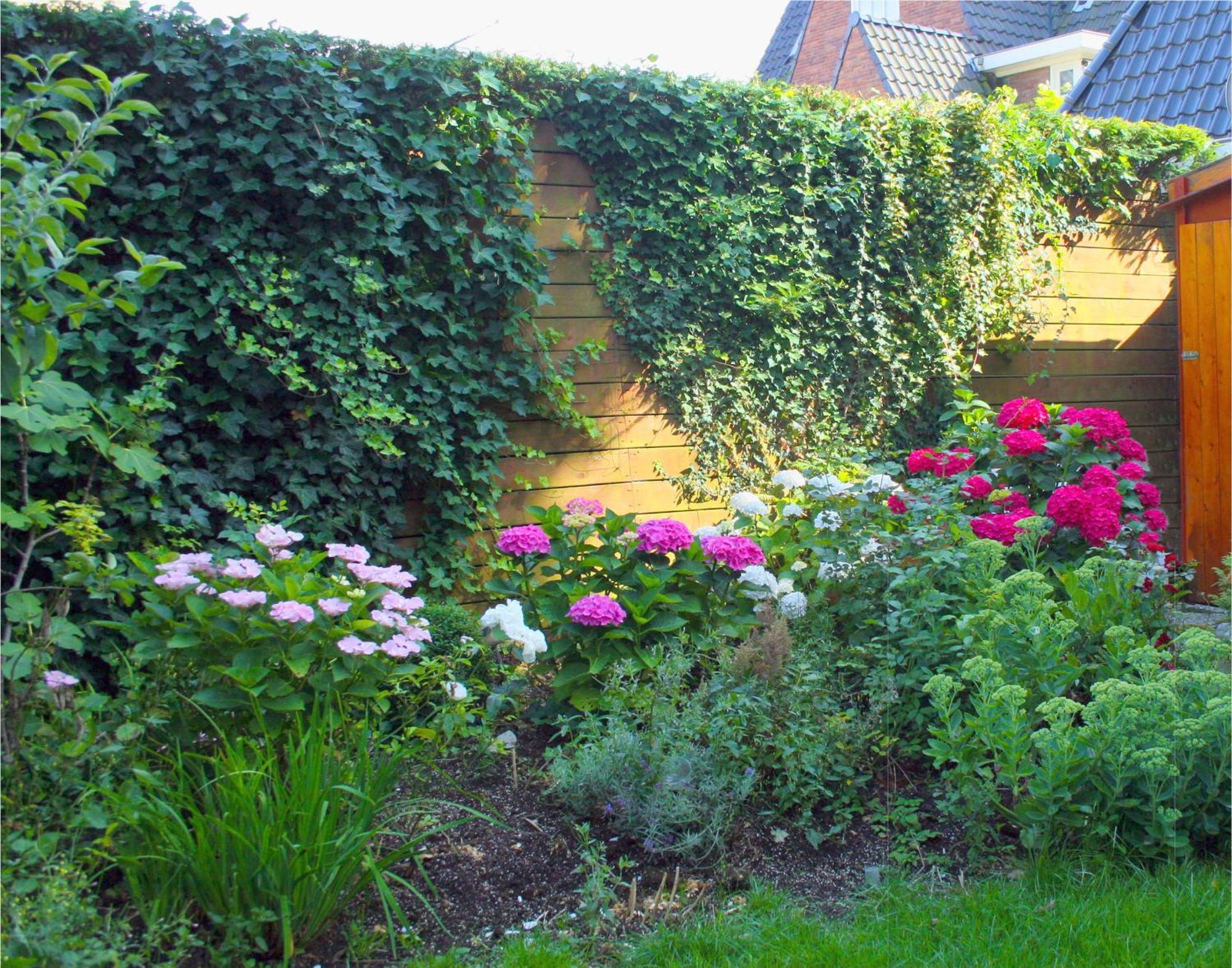 Xaviera'S Bed And Breakfast Amsterdam Ngoại thất bức ảnh