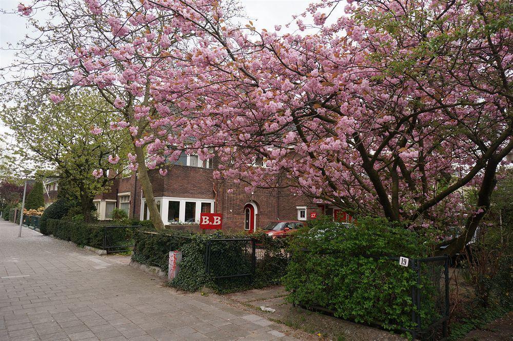 Xaviera'S Bed And Breakfast Amsterdam Ngoại thất bức ảnh