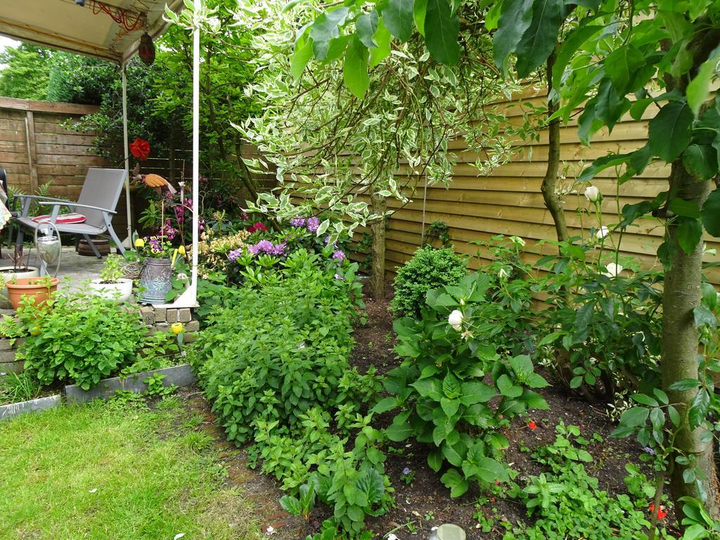 Xaviera'S Bed And Breakfast Amsterdam Ngoại thất bức ảnh