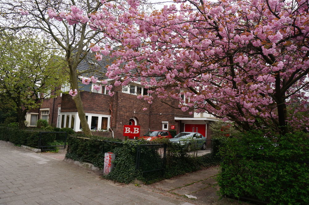 Xaviera'S Bed And Breakfast Amsterdam Ngoại thất bức ảnh