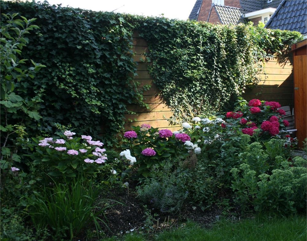 Xaviera'S Bed And Breakfast Amsterdam Ngoại thất bức ảnh