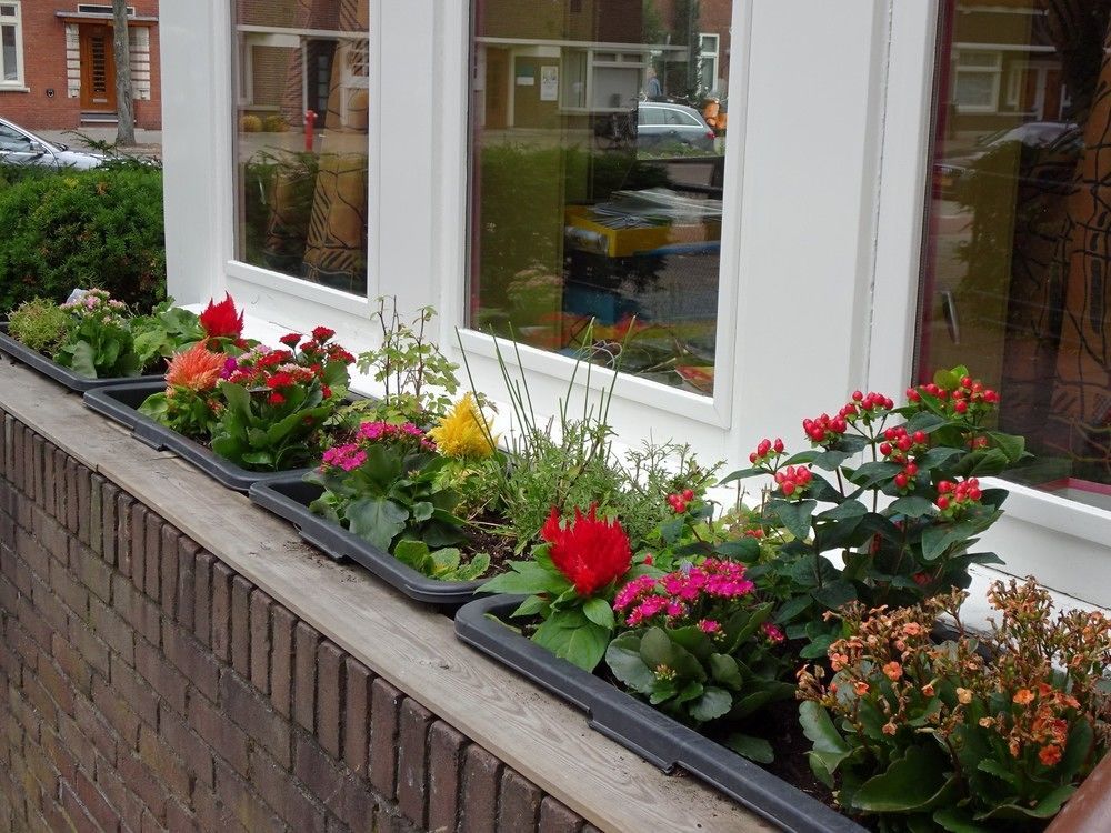 Xaviera'S Bed And Breakfast Amsterdam Ngoại thất bức ảnh
