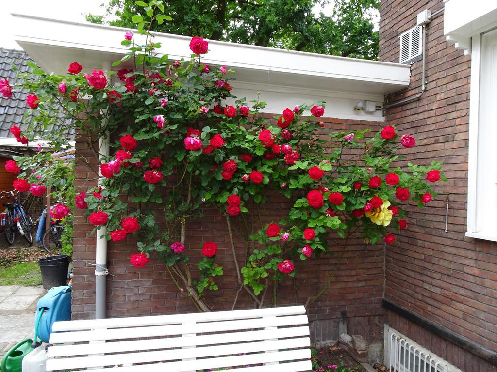 Xaviera'S Bed And Breakfast Amsterdam Ngoại thất bức ảnh